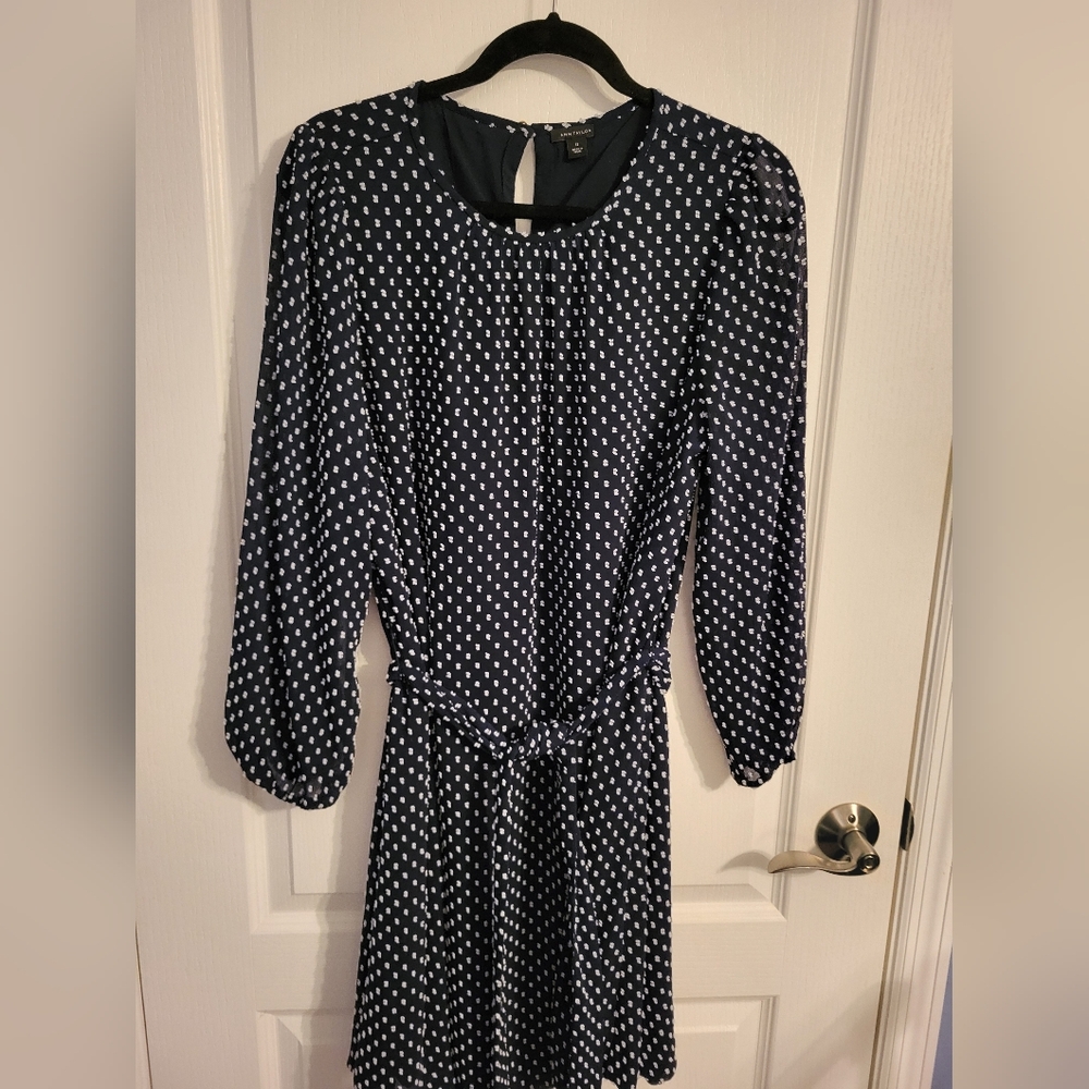 Ann Taylor Dress